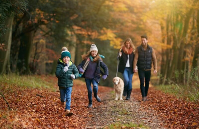 Family Walking With Pet Golden Retriever Dog Along Autumn Woodland Path